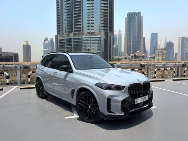  Grey BMW X5 Photo 