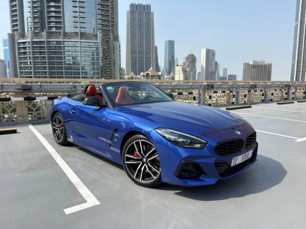  Grey BMW Z4 30I Photo 