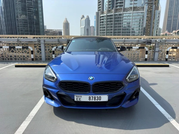  Grey BMW Z4 30I Photo 