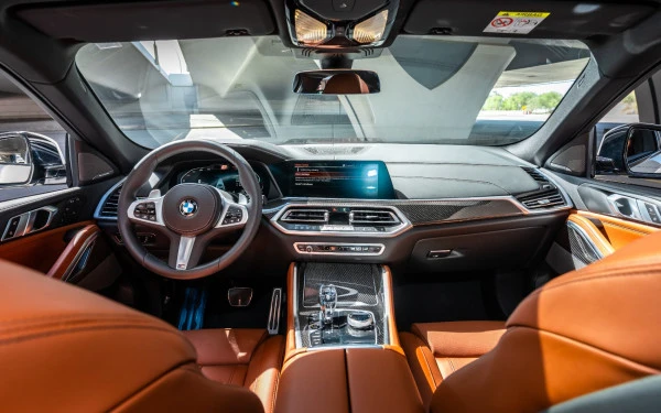  White BMW X6 Photo 